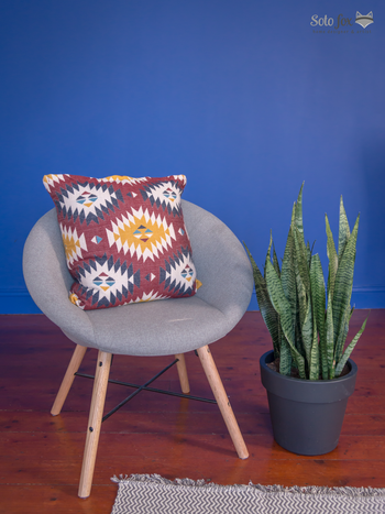 One seater sofa with snake plant in front of blue painted wall