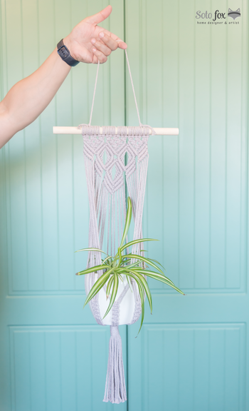 Hand holding a plant hanger with plant in it